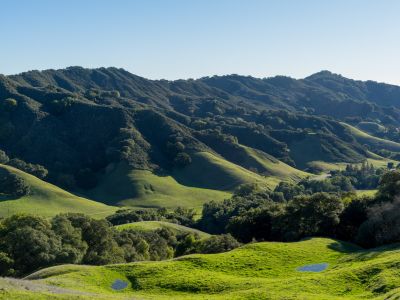 a distant view of the ridges of Las Trampas. the hilltops are covered with dark green trees and shrubs, lower down the flora is a brighter green